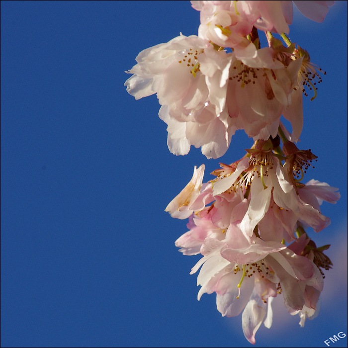 http://img110.xooimage.com/files/8/3/0/k5__3427_ck_v-4db544f.jpg
