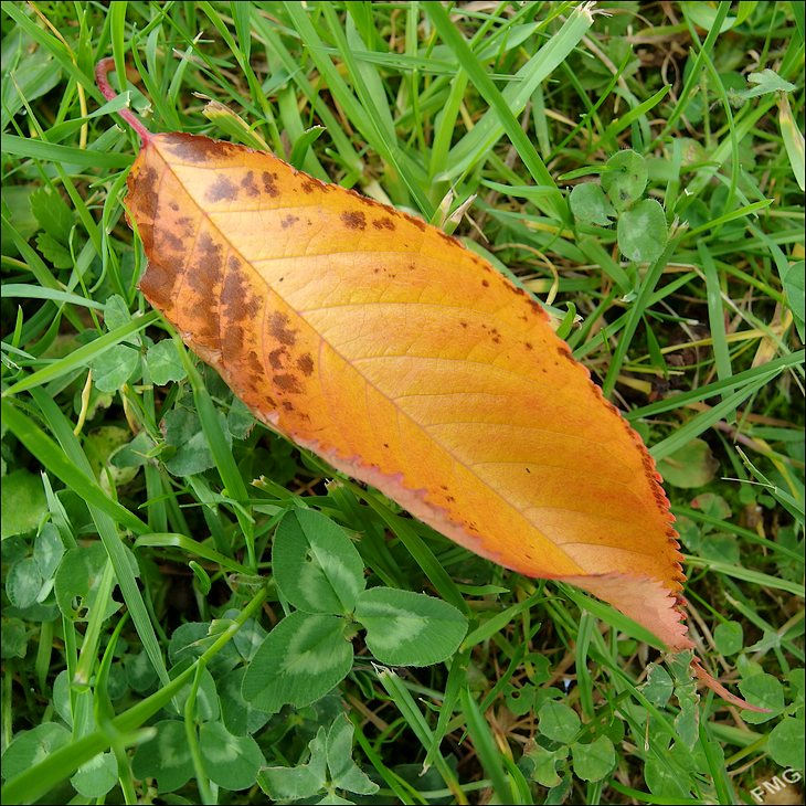 http://img110.xooimage.com/files/9/3/4/mxfg3760_k_v-4d34102.jpg