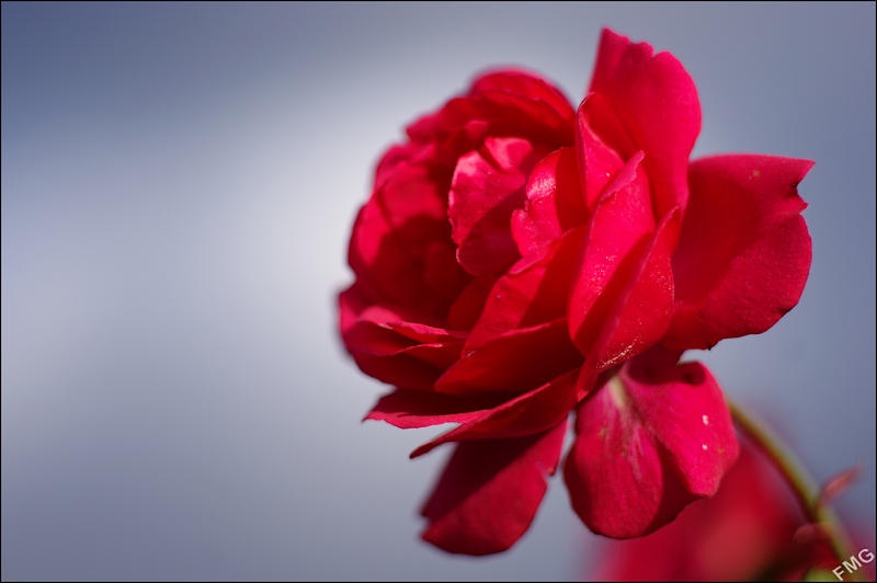 http://img110.xooimage.com/files/9/4/b/imgp9550_v-4e00aa6.jpg
