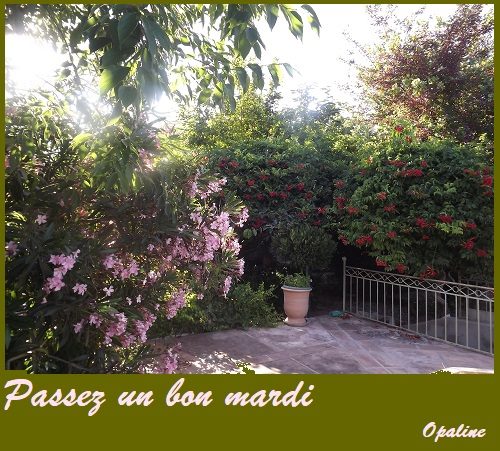 Bonjour du mois d'Avril 2019 - Page 3 26730780_19422012...417556_n-54bd9e6