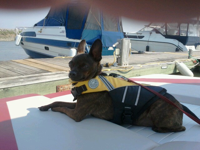 2012-08-26-13.52.55-4e11eac.jpg
