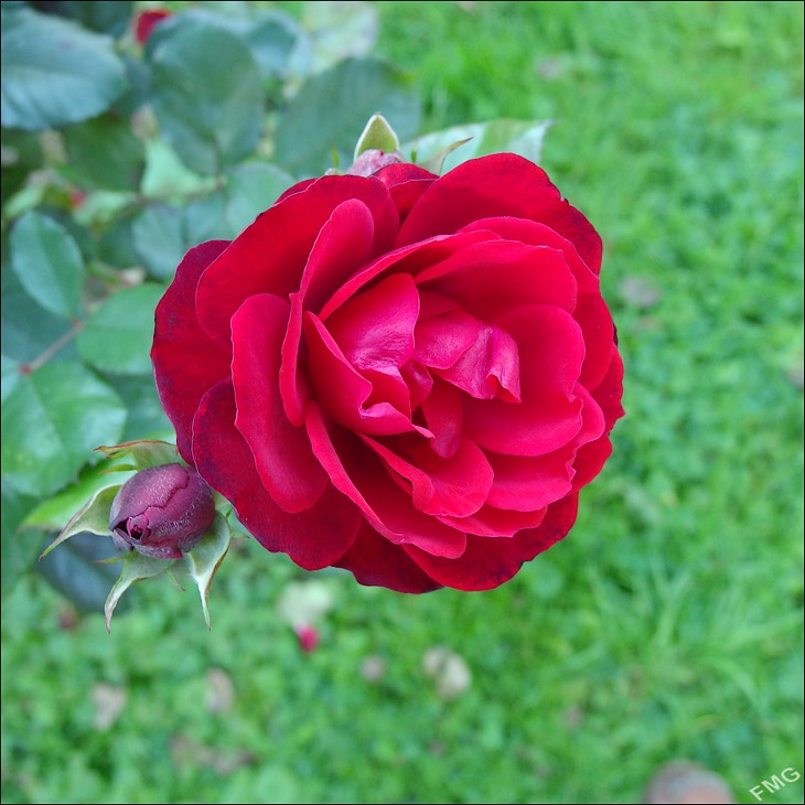 http://img110.xooimage.com/files/9/a/3/mxfg3774_k_v-4d35192.jpg