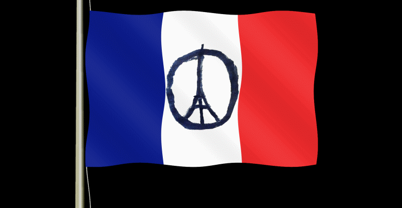 french-flag-4dc05ba.gif