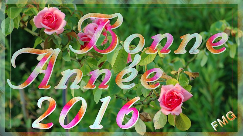 http://img110.xooimage.com/files/a/0/9/mxfg2378_vx168v-4defa42.jpg