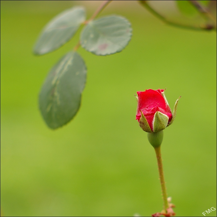 http://img110.xooimage.com/files/a/1/7/imgp5213_ck_v-4d8f484.jpg