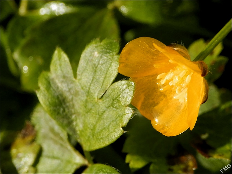 http://img110.xooimage.com/files/a/1/8/p2190765_v-4e7c80d.jpg