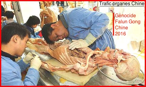 La fin du monde est reportée ,,, - Page 6 Falun-gong-77-genocide-520f570