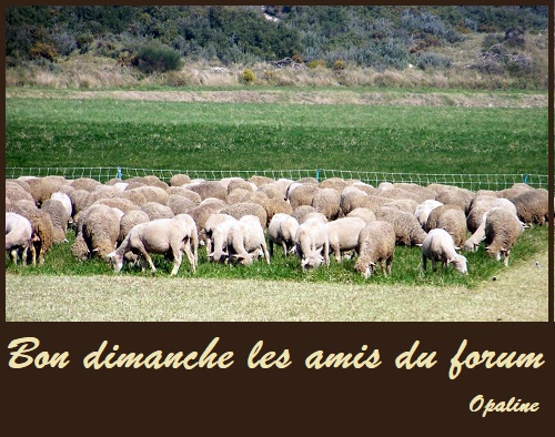 bonjour du mois de Février 2019 Dimanche-3-544d686