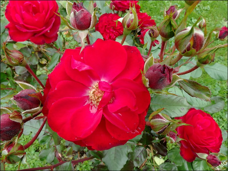 http://img110.xooimage.com/files/a/c/a/mxfg3651_v-4d26d38.jpg