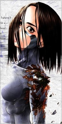 lien image 160*280