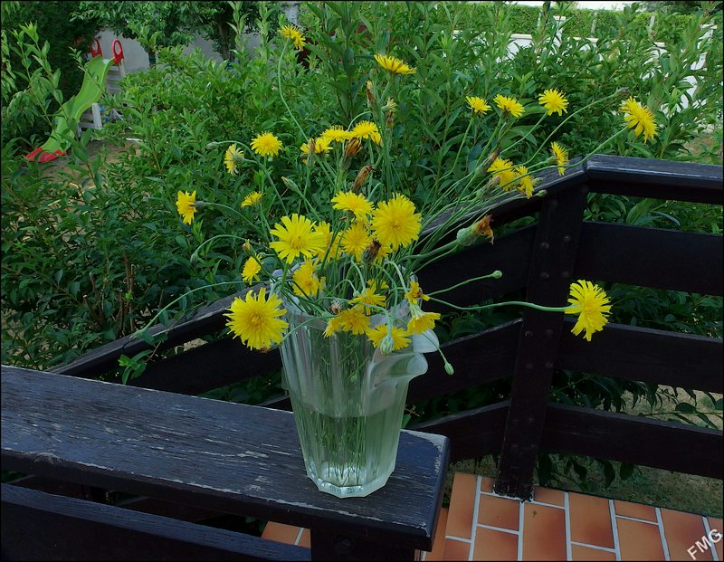 http://img110.xooimage.com/files/b/2/3/mxfg2740_c_v-4c10e6f.jpg