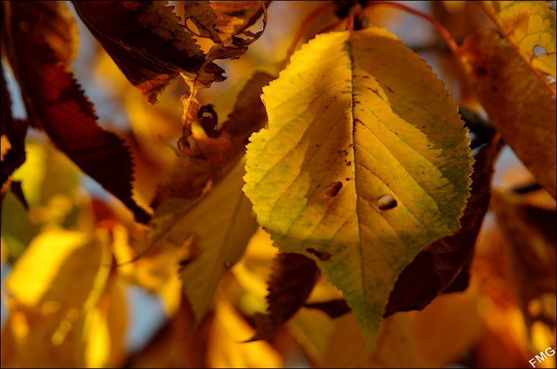 http://img110.xooimage.com/files/b/3/8/k5__3133_v-4d4d697.jpg