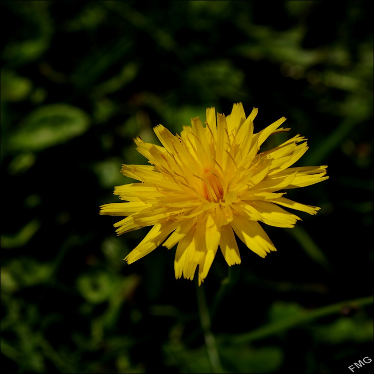 http://img110.xooimage.com/files/b/6/1/k5__2696_ck_v-4d23c1c.jpg