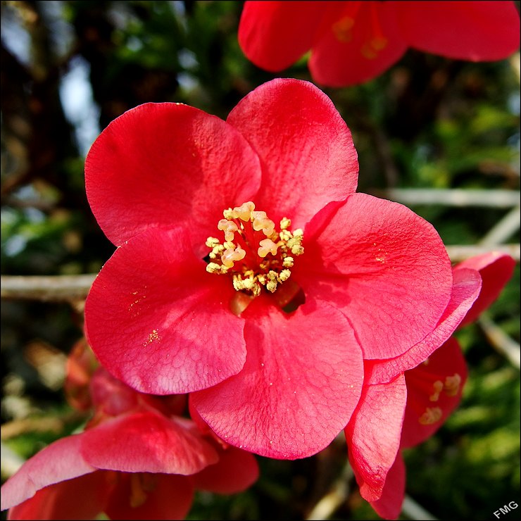 http://img110.xooimage.com/files/b/6/4/mxfg1239_c_v-4c0d19a.jpg