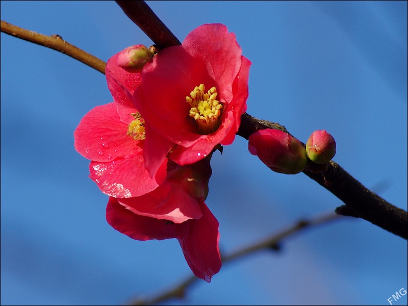 http://img110.xooimage.com/files/b/6/e/k5__3448_c_v-4db5467.jpg