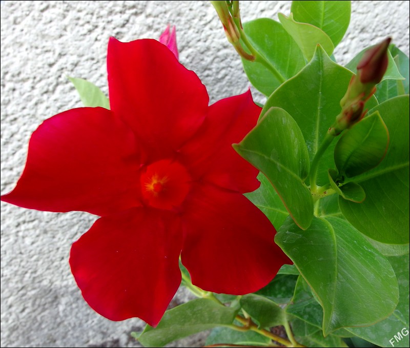 http://img110.xooimage.com/files/b/7/b/mxfg2782_c_v-4c1ed13.jpg