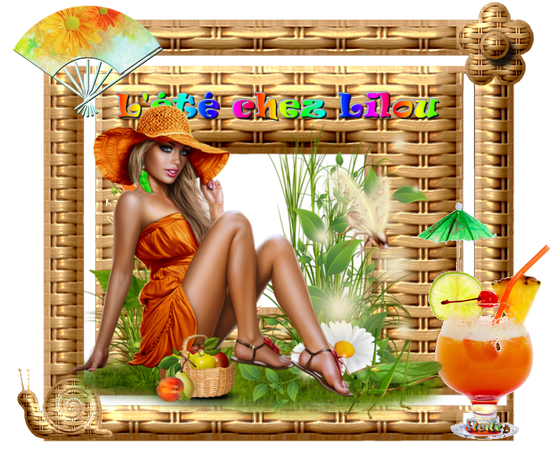 Les themes de Zetoile