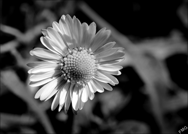 http://img110.xooimage.com/files/b/e/6/k5__0120_c_nb_v-4ba4d36.jpg