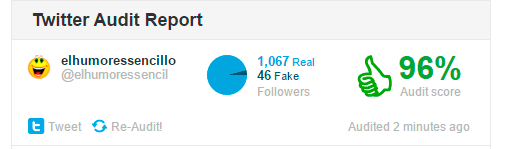 twitter-audit-4e9db0a.png