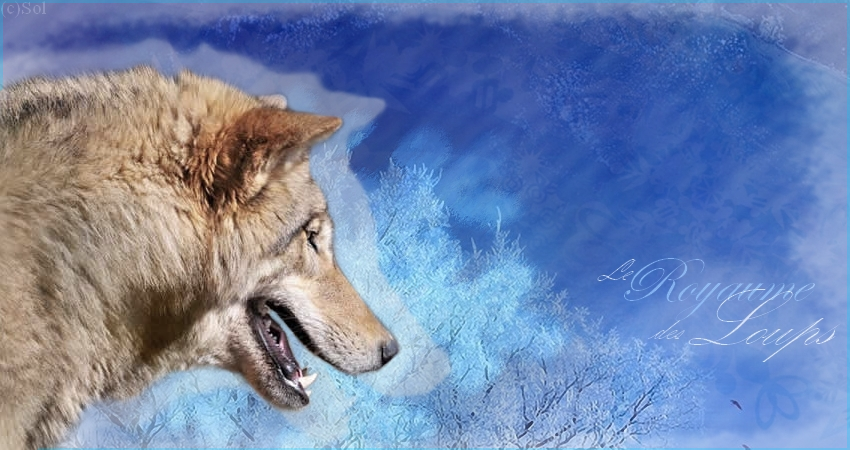 Le Royaume des Loups