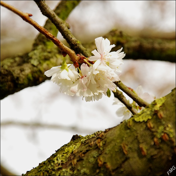 http://img110.xooimage.com/files/b/f/e/k5__3408_ck_v-4db3102.jpg