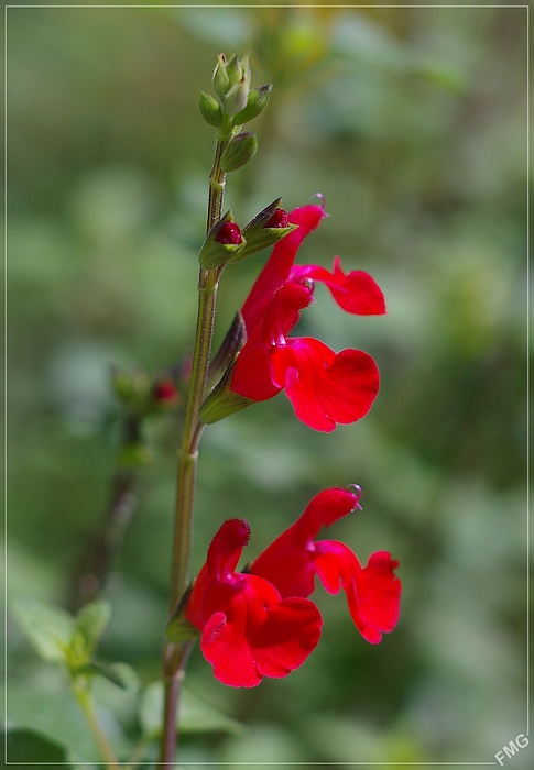http://img110.xooimage.com/files/c/2/a/imgp2306j_cp_v-4e90702.jpg