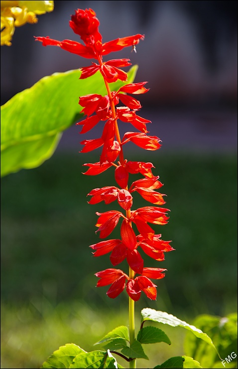 http://img110.xooimage.com/files/c/3/5/k5__1004_cp_v-4badf00.jpg