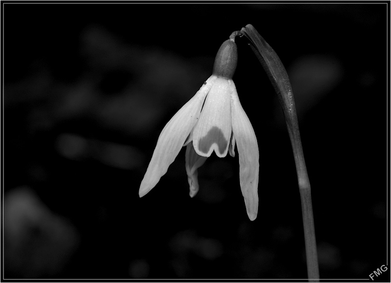 http://img110.xooimage.com/files/c/5/b/imgp0226_c_v-4e66db5.jpg