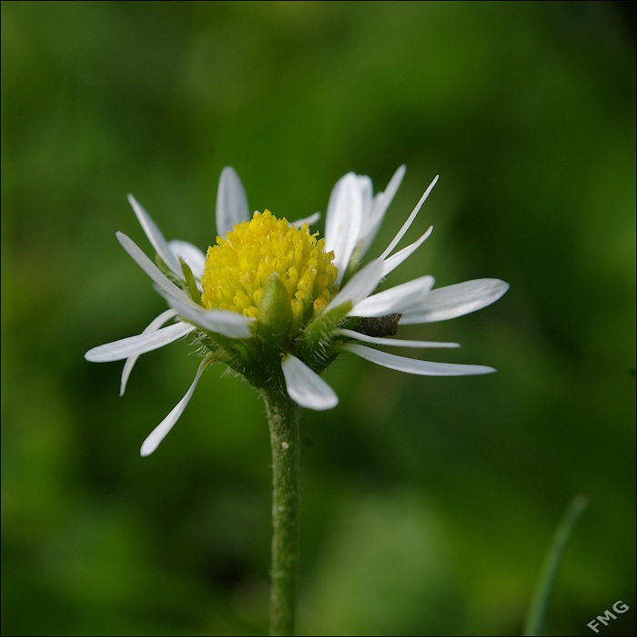 http://img110.xooimage.com/files/c/7/0/imgp9357_ck_v-4d75e55.jpg