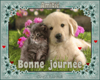 Bonjour / Bonsoir d' AOUT - Page 5 F091e348-52ed16f