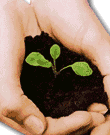 Naturaleza, Ecologia y Medio Ambiente....