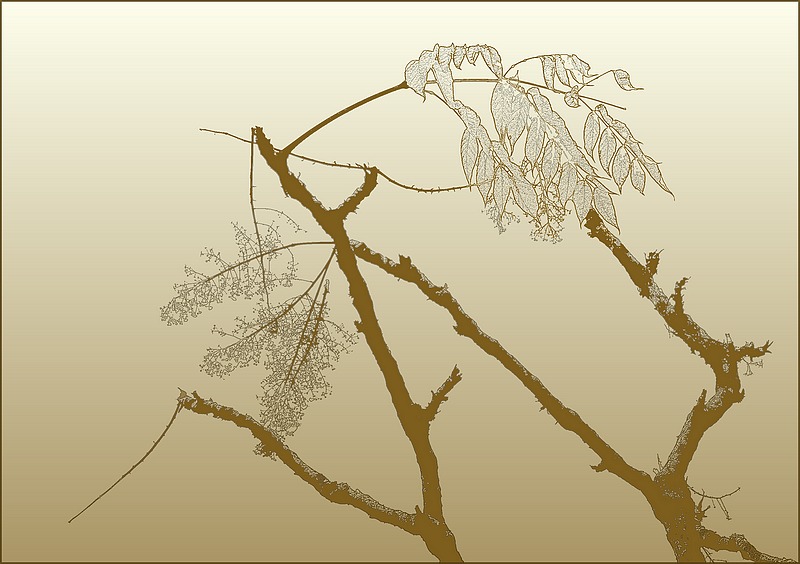 http://img110.xooimage.com/files/c/a/f/imgp4942_gh_v-4d6b942.jpg
