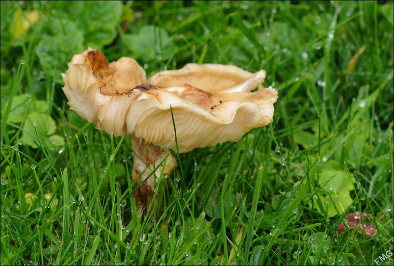 http://img110.xooimage.com/files/c/d/f/k5__2928_c_v-4d1abd3.jpg
