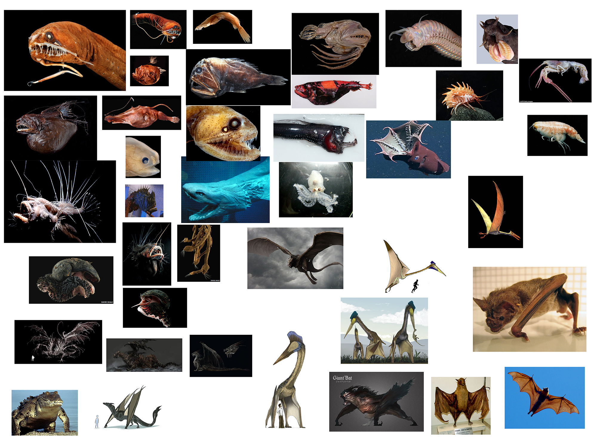Challenge 7 - Chtulhik Moodboardlight_s-4afaec9