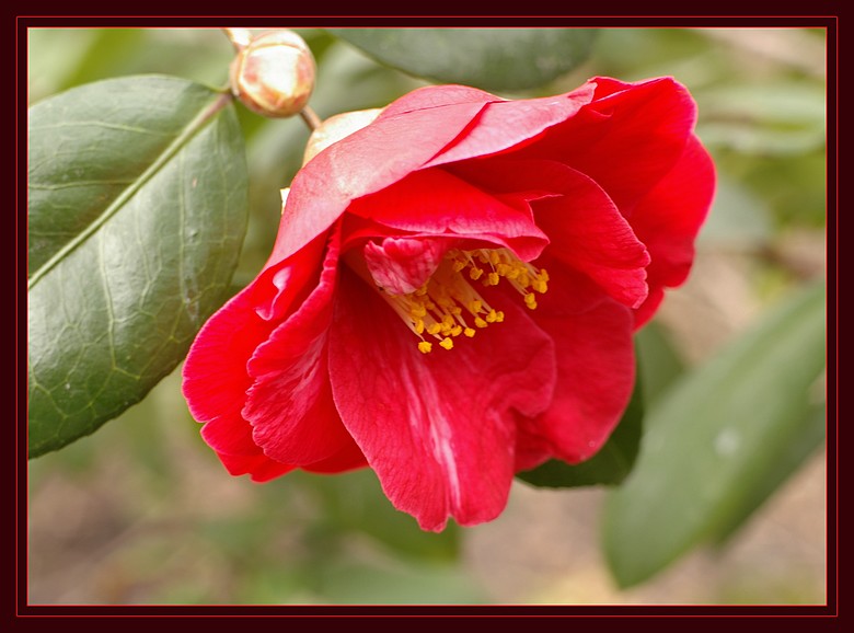 http://img110.xooimage.com/files/d/0/8/imgp8697_c_v-4e6b75e.jpg