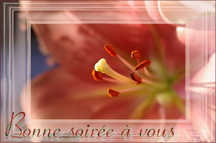 http://img110.xooimage.com/files/d/0/d/imgp6931_bs_v-4df9090.jpg