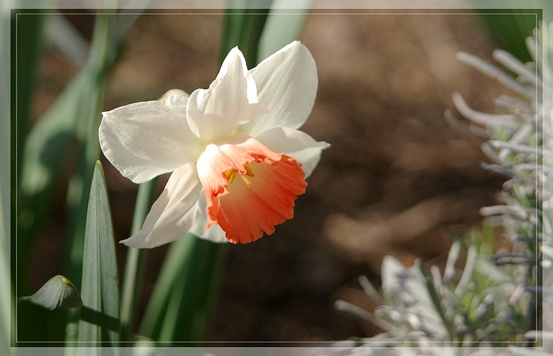 http://img110.xooimage.com/files/d/3/c/imgp2170_gc_v-4e7829e.jpg