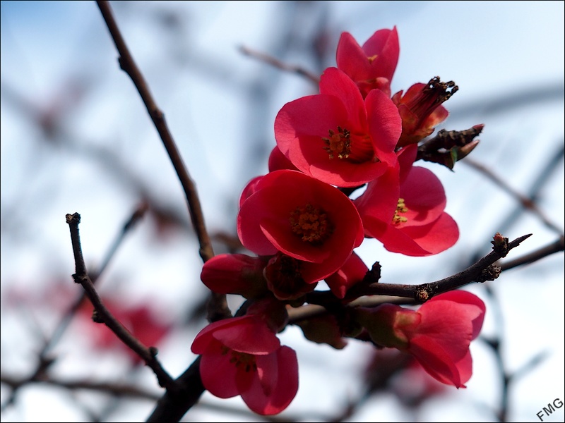 http://img110.xooimage.com/files/d/6/2/fgst0327_c_v-4e70bbd.jpg