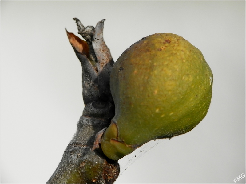 http://img110.xooimage.com/files/d/c/2/p2190746_v-4e7c6c1.jpg