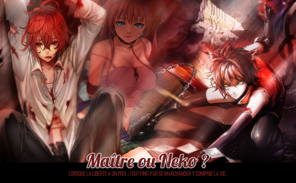 Maître ou Neko ?