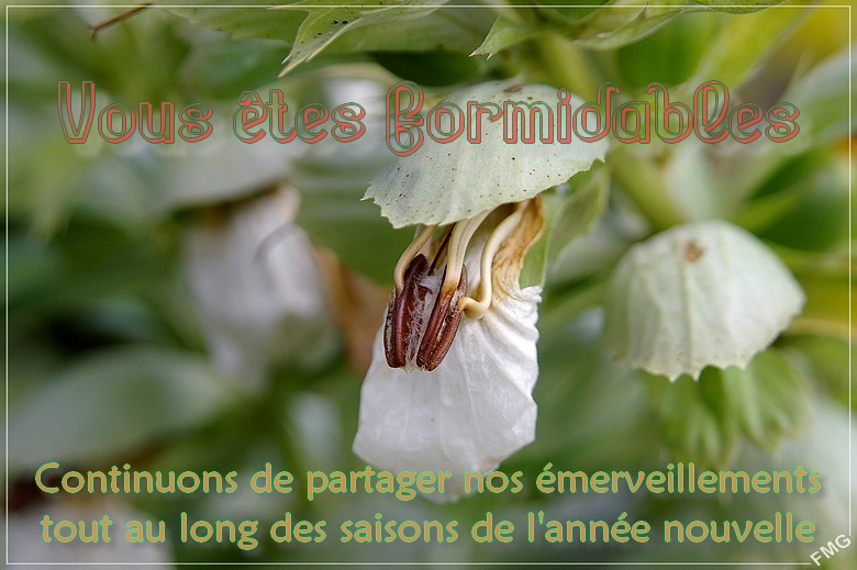 http://img110.xooimage.com/files/e/1/c/imgp8634_cvx_v-4df0a06.jpg