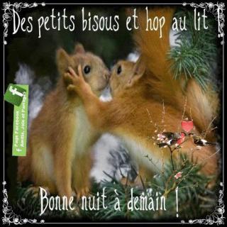 Bonjour / Bonsoir d' AOUT - Page 5 793ccf58-52eb353