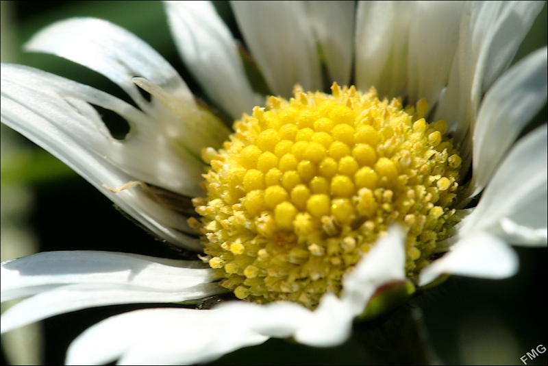 http://img110.xooimage.com/files/e/5/a/fgst0364_s_v-4e74a59.jpg