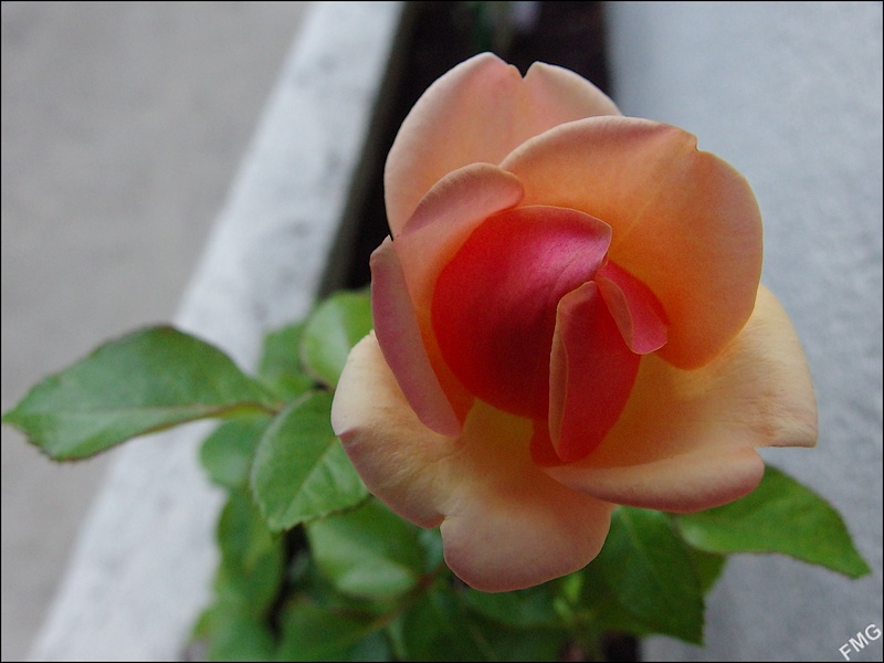 http://img110.xooimage.com/files/e/6/7/mxfg3512_v-4cbfe18.jpg