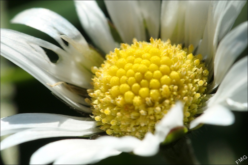 http://img110.xooimage.com/files/e/8/b/fgst0364_v-4e746af.jpg