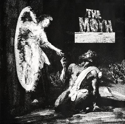 small-themoth-52dce62.jpg
