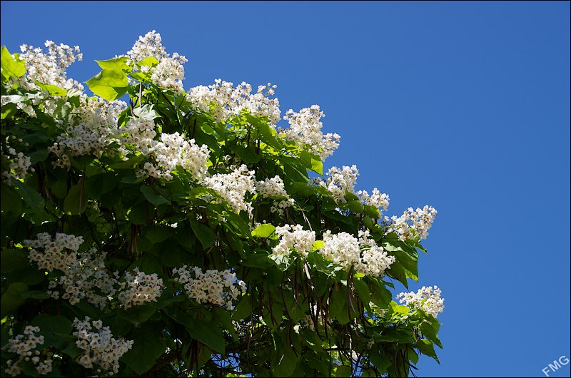 http://img110.xooimage.com/files/e/9/a/k5__1223_v-4df4f90.jpg