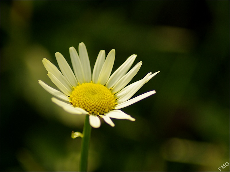 http://img110.xooimage.com/files/e/a/c/k5__3459_c_v-4dd7e3e.jpg