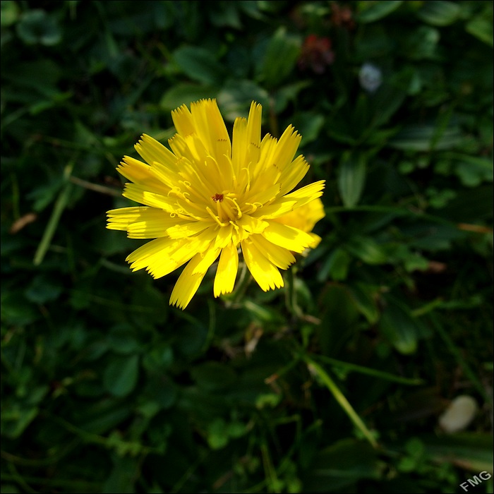 http://img110.xooimage.com/files/e/e/1/mxfg4045_k_v-4d73ad3.jpg