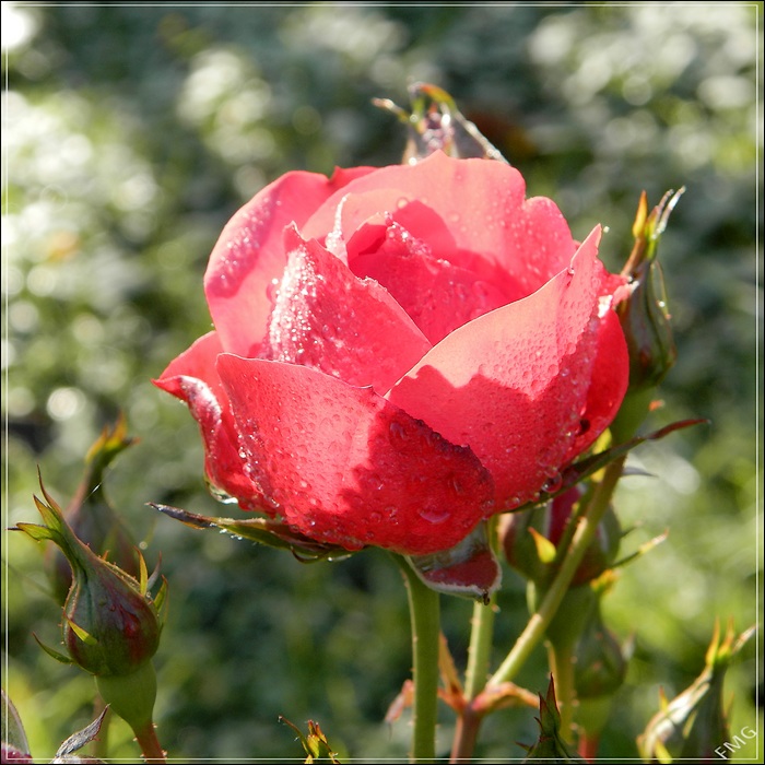 http://img110.xooimage.com/files/e/e/7/pc090536_ck_v-4db57be.jpg